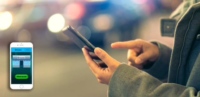 In-House software development